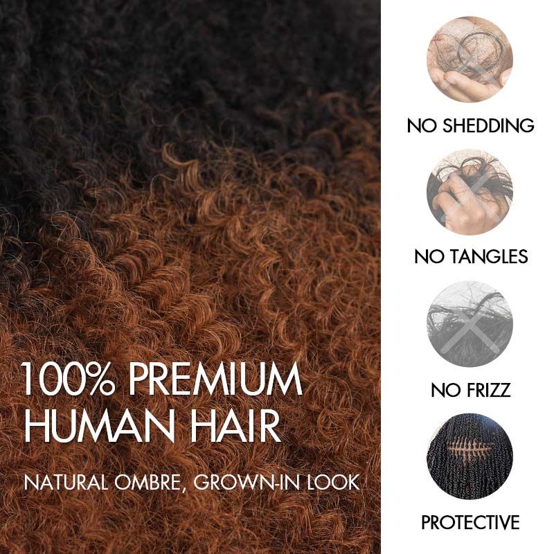QVR Ombre Afro Kinky Bulk Braids Hair Extensions for Passion Twists & Locs