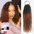 Buy One Get One|QVR #T1B/30 Crochet Hair Small Kinky Curly