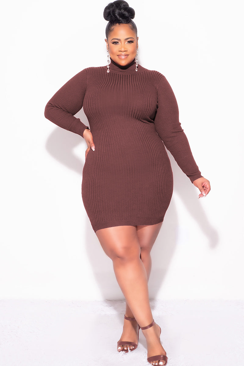 Final Sale Plus Size Ribbed Turtle Neck Dress in Brown