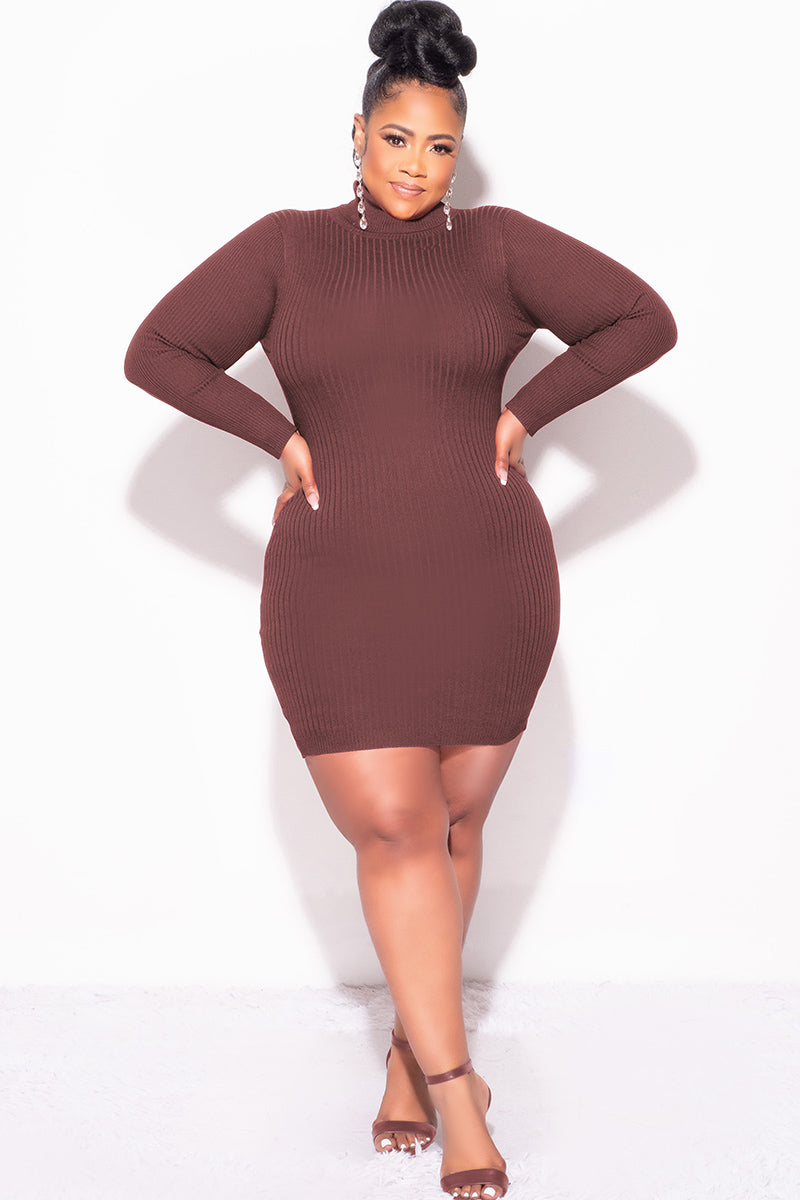Final Sale Plus Size Ribbed Turtle Neck Dress in Brown
