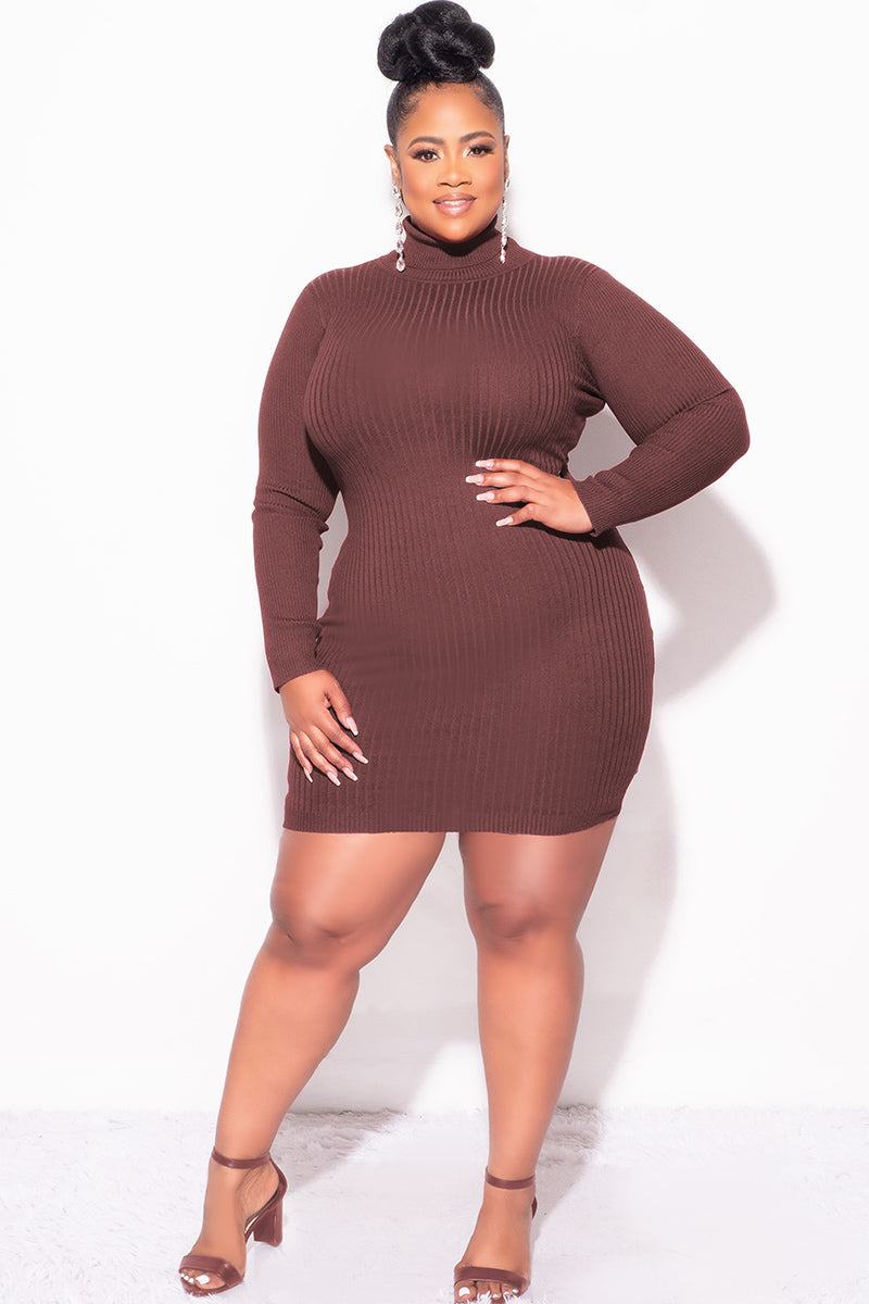 Final Sale Plus Size Ribbed Turtle Neck Dress in Brown