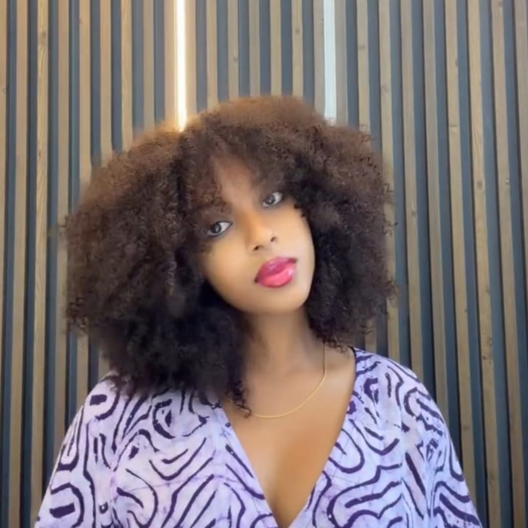 AILUXY Perruque Afro à Boucles Crépues Épaisses Volume Extrême  Style Bouclé Sauvage et Tendance, Conception Pratique à Enfiler, Idéale pour Sorties et Ocassions Spéciaux