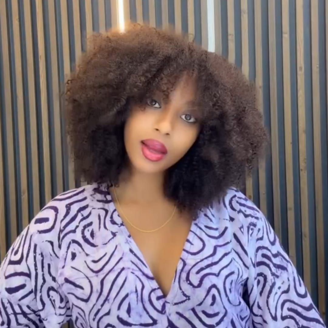AILUXY Perruque Afro à Boucles Crépues Épaisses Volume Extrême  Style Bouclé Sauvage et Tendance, Conception Pratique à Enfiler, Idéale pour Sorties et Ocassions Spéciaux