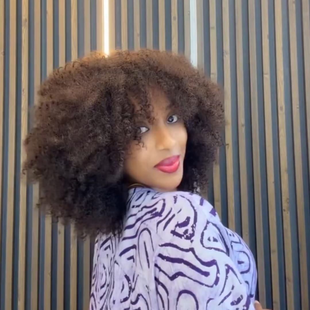 AILUXY Perruque Afro à Boucles Crépues Épaisses Volume Extrême  Style Bouclé Sauvage et Tendance, Conception Pratique à Enfiler, Idéale pour Sorties et Ocassions Spéciaux