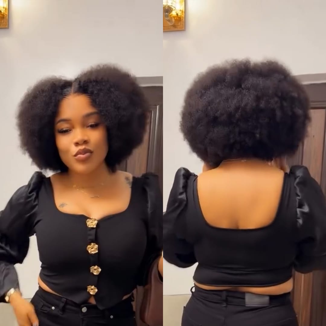 AILUXY Perruque Afro Curly Éclatante Et Valorisante| Volumax Pro Avec  Raie Au Milieu  Naturelle