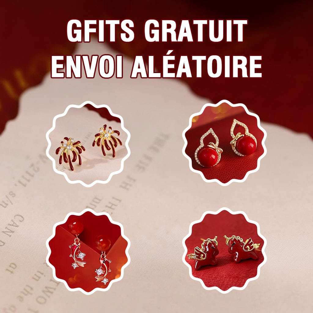 Ailuxy Cadeau de Nouvel An 2026  Achetez maintenant + Cadeau de valeur 20€ offert !