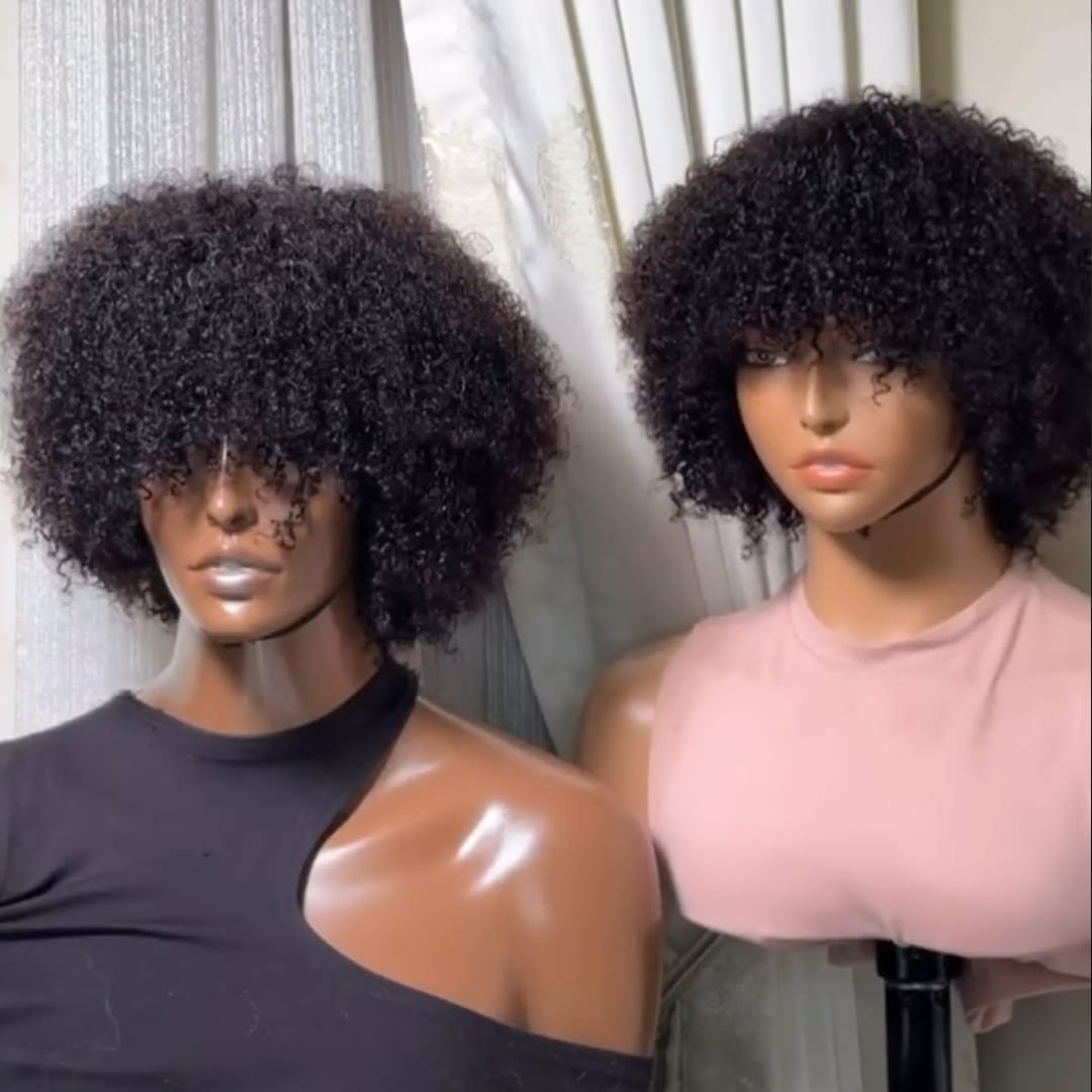 AILUXY Perruque Courte Afro Curly Bouclée - Naturelle et Volumineuse