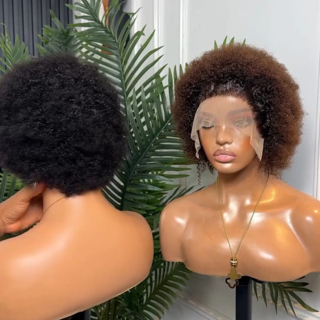 AILUXY Perruque Afro Courte en Cheveux Humains avec Dentelle Transparente - Effet Naturel & Facile à Porter