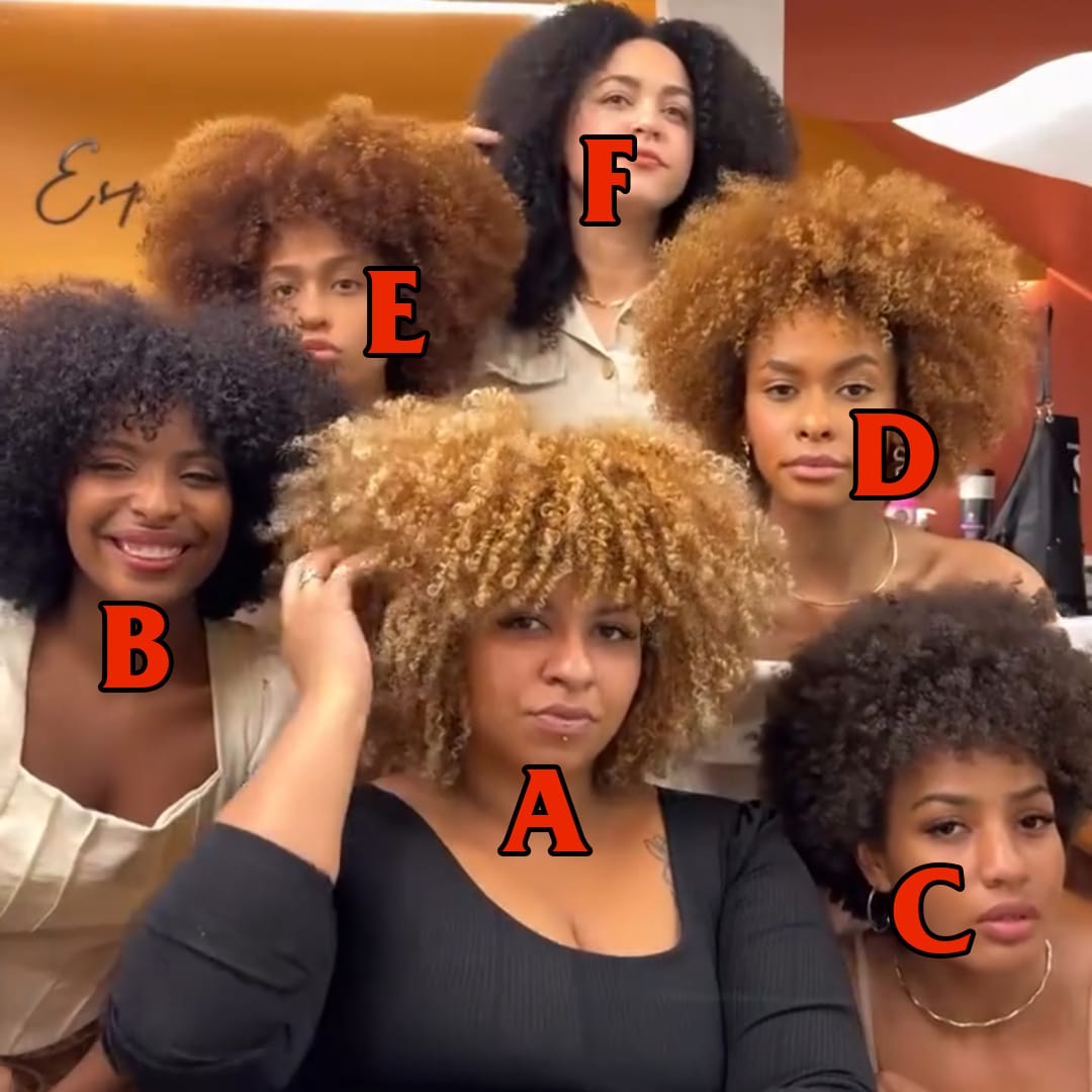 AILUXY Perruque Afro  Du naturel au spectaculaire notre Afro Taille 12 pouces XXL en 6 nuances irrésistibles