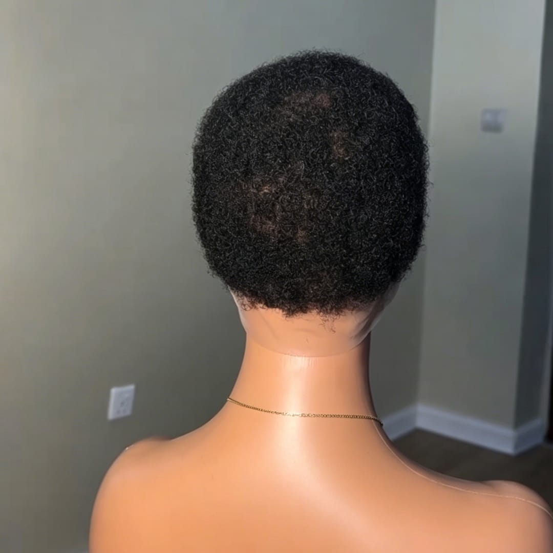 AILUXY Perruque Courte Curly Afro Naturelle - Cheveux Brésiliens Avec Full Lace Confortable et  Réspirante, Noire Naturelle ,100 % cheveux humains