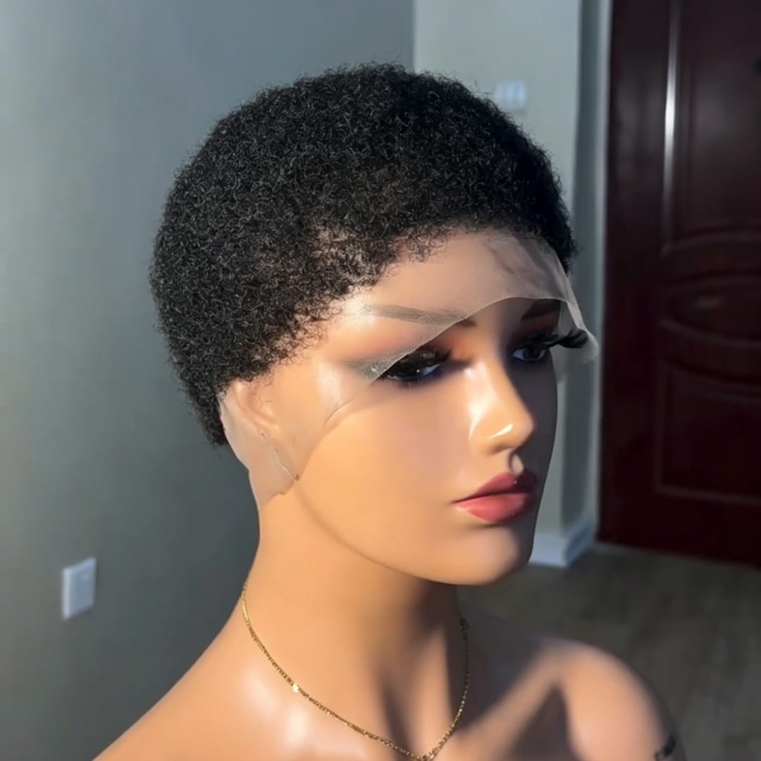 AILUXY Perruque Courte Curly Afro Naturelle - Cheveux Brésiliens Avec Full Lace Confortable et  Réspirante, Noire Naturelle ,100 % cheveux humains
