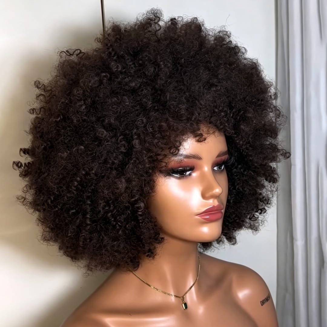 AILUXY Perruque Bob Afro Kinky Bouclée Noire Volumnieuse –  Style Ultra-Naturel et Polyvalent